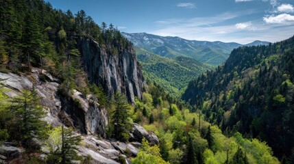 Mountain view landscape