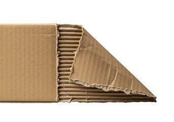 Extreme macro of natural brown corrugated cardboard box with peeled flap showing fibrous interior on transparent background. Concept of industrial beauty and texture study