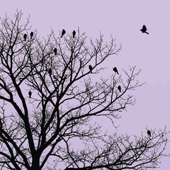 Silhouette of a bare tree with many birds perched on its branches.