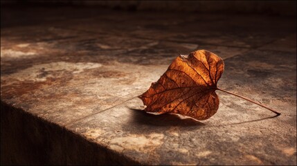 Dried leaf on rustic surface