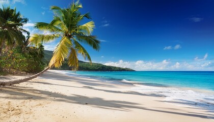 Fototapeta premium Tropical Beach With Palm Trees