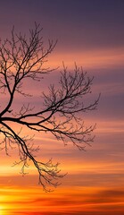 Silhouette of bare tree branches against a vivid sunset sky with hues of orange pink and purple