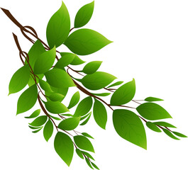 vector illustration of branch with leaves
