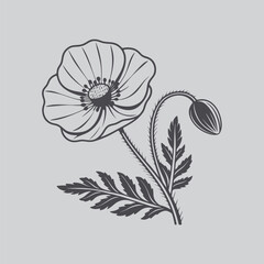 Classic Botanical Poppy Silhouette Art