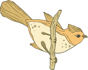 Bird Perched on a Branch Illustration on White Background isolated on a transparent background