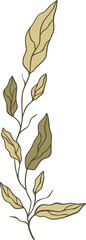 Decorative botanical branch with muted green and yellow leaves isolated on a transparent background
