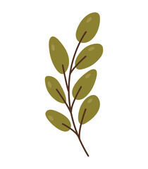 Elegant green branch with leaves — minimalist botanical illustration for packaging, fabric, wall art, stationery and modern design projects