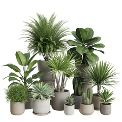 Fototapeta premium Collection of various potted houseplants and succulents isolated on transparent background