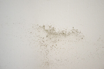 Mold on the wall background