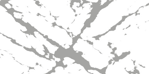 Obraz premium Abstract paint splashes form the border of a detailed map of Europe, a continent of many nations