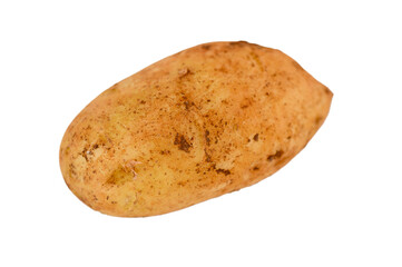 Raw Potato Isolated on White Background