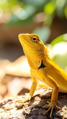 Obraz premium Close-up of a bright yellow lizard