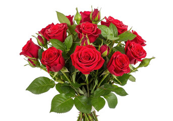 Fototapeta premium Beautiful bouquet of vibrant red roses freshly cut for romance isolated on transparent background