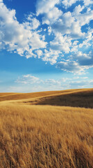 Golden Wheat Field on Rolling Hills Under a Blue Sky with White Clouds