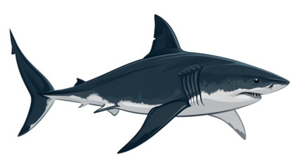 Shark Silhouette – Realistic Vector Illustration, Side View, Isolated on Transparent Background, Ocean Predator, Minimalistic Vector Design
