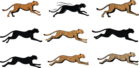 Cartoon Cheetah Icons in Running Poses Featuring Motion Stages, Silhouettes, Spotted Fur, Speed Theme, Wildlife Anatomy, and Dynamic Movement