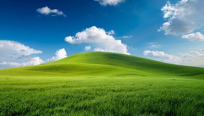 Obraz premium Lawn Hill Green Field And Clouds Field With Green Wheat And Blue Sky