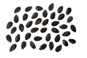 Black seeds of red watermelon are scattered randomly across a PNG background.
