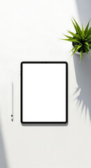 Top View of a Digital Tablet, Stylus, and Plant on a Bright White Table