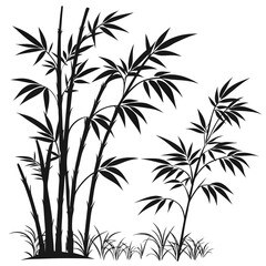 Black Silhouette Bamboo Grove with Grass on White plant