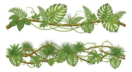 Tropical jungle border with monstera isolated on transparent background