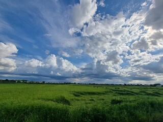 Majestic Sky Over Green Field: A captivating wide-angle shot of a vibrant, green field beneath a dramatic, cloud-filled sky, capturing nature's breathtaking beauty.