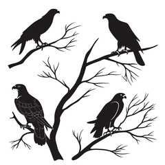 Black silhouettes of eagles perched on tree branches