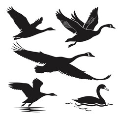 Black silhouettes of geese flying and swimming goose