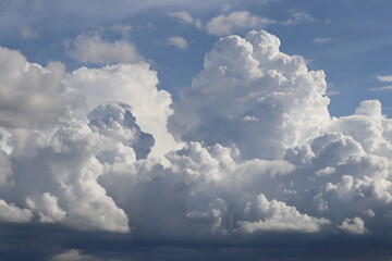 Cloudscape of Cumulus Majesty: A breathtaking view of fluffy, white cumulus clouds billowing against a vibrant blue sky, evoking feelings of peace and wonder. 