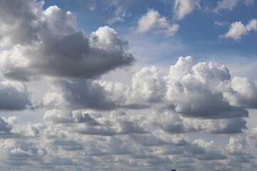 Obraz premium Clouds in the Blue Sky: A tranquil shot captures the fluffy white clouds drifting across the vast expanse of a clear, blue sky. The image evokes a sense of calm and endless possibility.