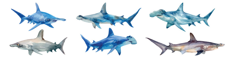 Obraz premium Hammerhead shark swimming, underwater marine aquatic wildlife watercolor set isolated on transparent background