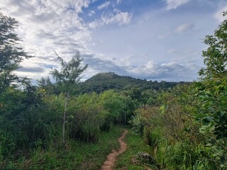 Scenic Mountain Hiking Trail: An inviting path winds through lush greenery, beckoning adventurers towards a majestic mountain peak under a beautiful sky, capturing the essence of exploration.