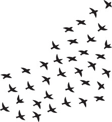 Fototapeta premium Flock of Birds Silhouette Flying with Transparent Background for Freedom and Nature Themes