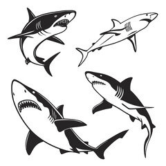 Fierce Sharks Illustrations With Open Jaws And Sharp Teeth Keywords: shark, ocean, sea