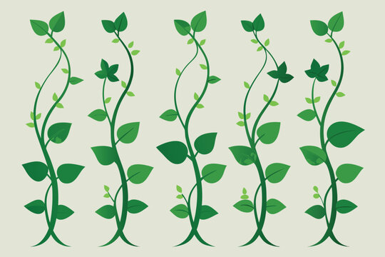 Vector art of five green beanstalks with leaves are presented