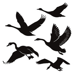 Silhouettes of Geese in Various Flight Poses goose