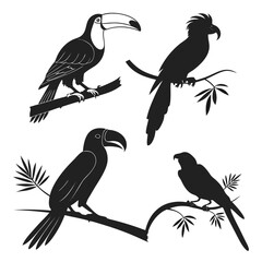 Silhouettes of toucans and parrots on branches bird