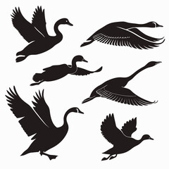 Six Swan Silhouettes in Flight and Landing Poses swans
