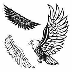 Stylized Eagle and Wings Illustrations in Black and White