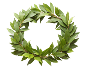 A beautiful laurel wreath isolated on transparent background, perfect for adding a touch of elegance to your designs