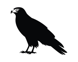 Obraz premium Striking Silhouette of a Majestic Hawk A Monochrome Illustration for Design Projects