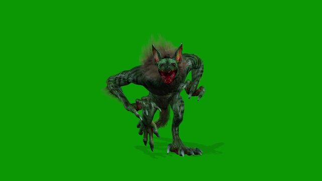 Monster Werehyena Walking Front-3D Rendering Animation On Green Screen