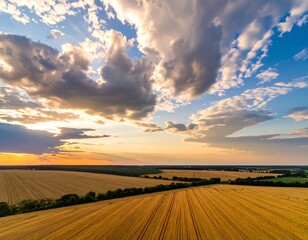 Golden fields meet sunset clouds