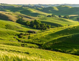 Obraz premium Rolling hills of vibrant green