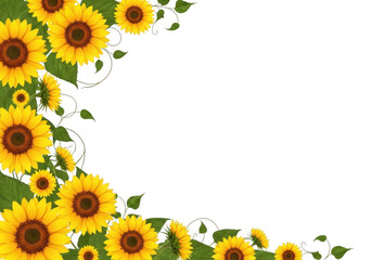 Bright yellow sunflowers bloom with green leaves against a dark field isolated on transparent background