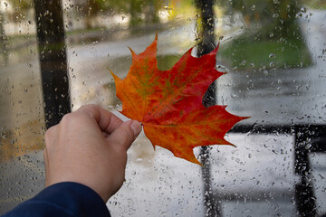 Autumn background on the city street.
