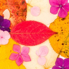 Colorful Autumnal Arrangement