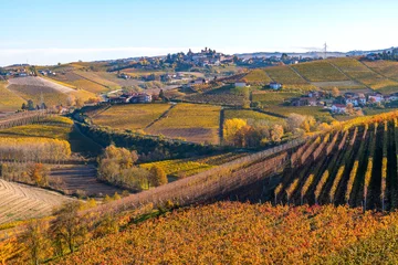 View of the Langhe vineyards and the town of Diano d'Alba, Langhe, Piedmont, Italy © Pixelshop