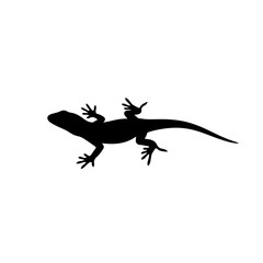 Naklejka premium Silhouette of a lizard isolated on transparent background illustration of reptile