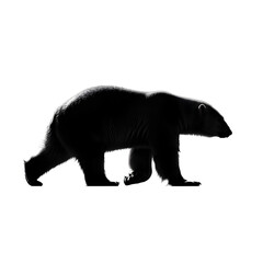Silhouette of a polar bear isolated on transparent background, walking in side profile
